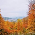 Herbstimpressionen in der Tempelanlage in Tawern