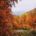 Herbstimpressionen in der Tempelanlage in Tawern