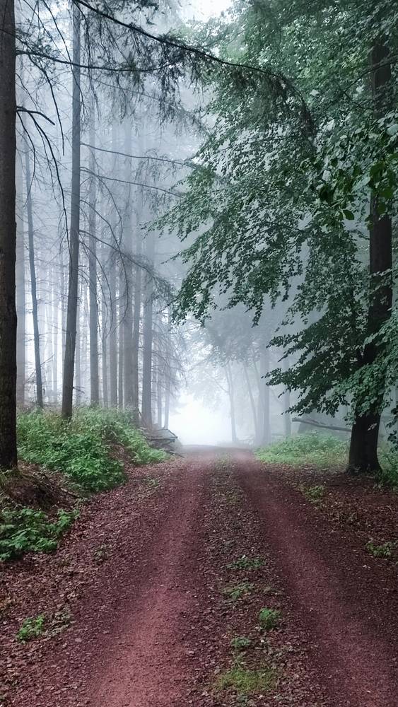 Metzeberg im Nebel