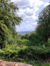 Aussicht bis nach Trier